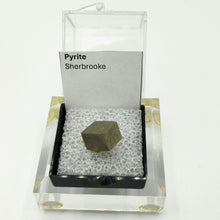 Charger l'image dans la galerie, Pyrite