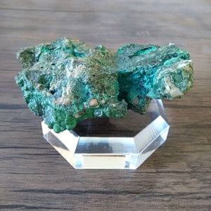 Chrysocolle