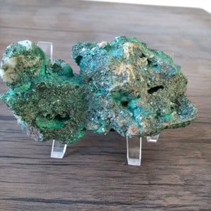 Chrysocolle