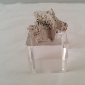 Microcline albite