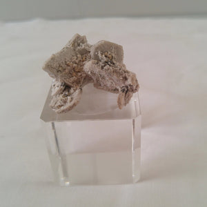 Microcline albite