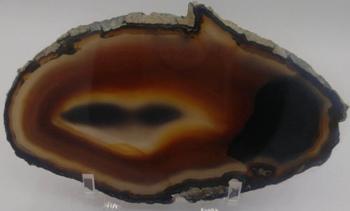 Agate à fortifications