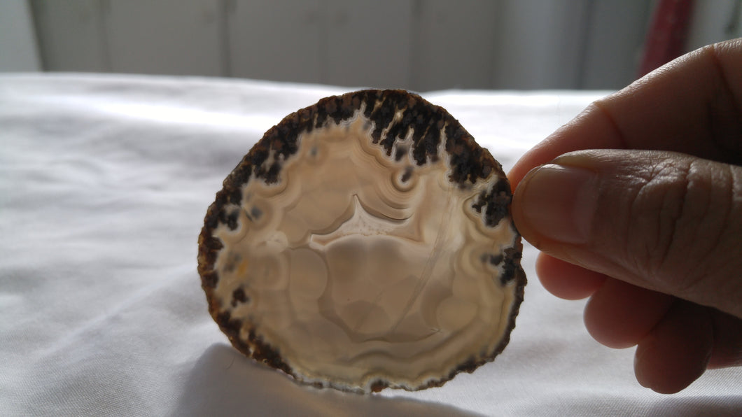 Agate tubulaire