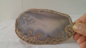 Agate orbiculaire rubanée