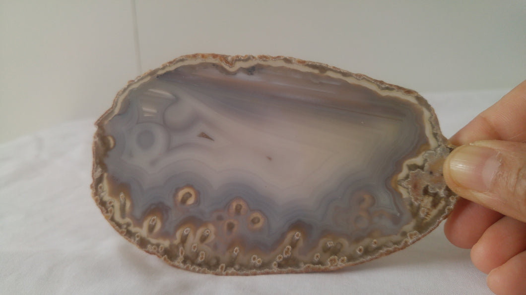 Agate orbiculaire rubanée