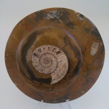 Charger l&#39;image dans la galerie, Ammonite sur marbre fossile